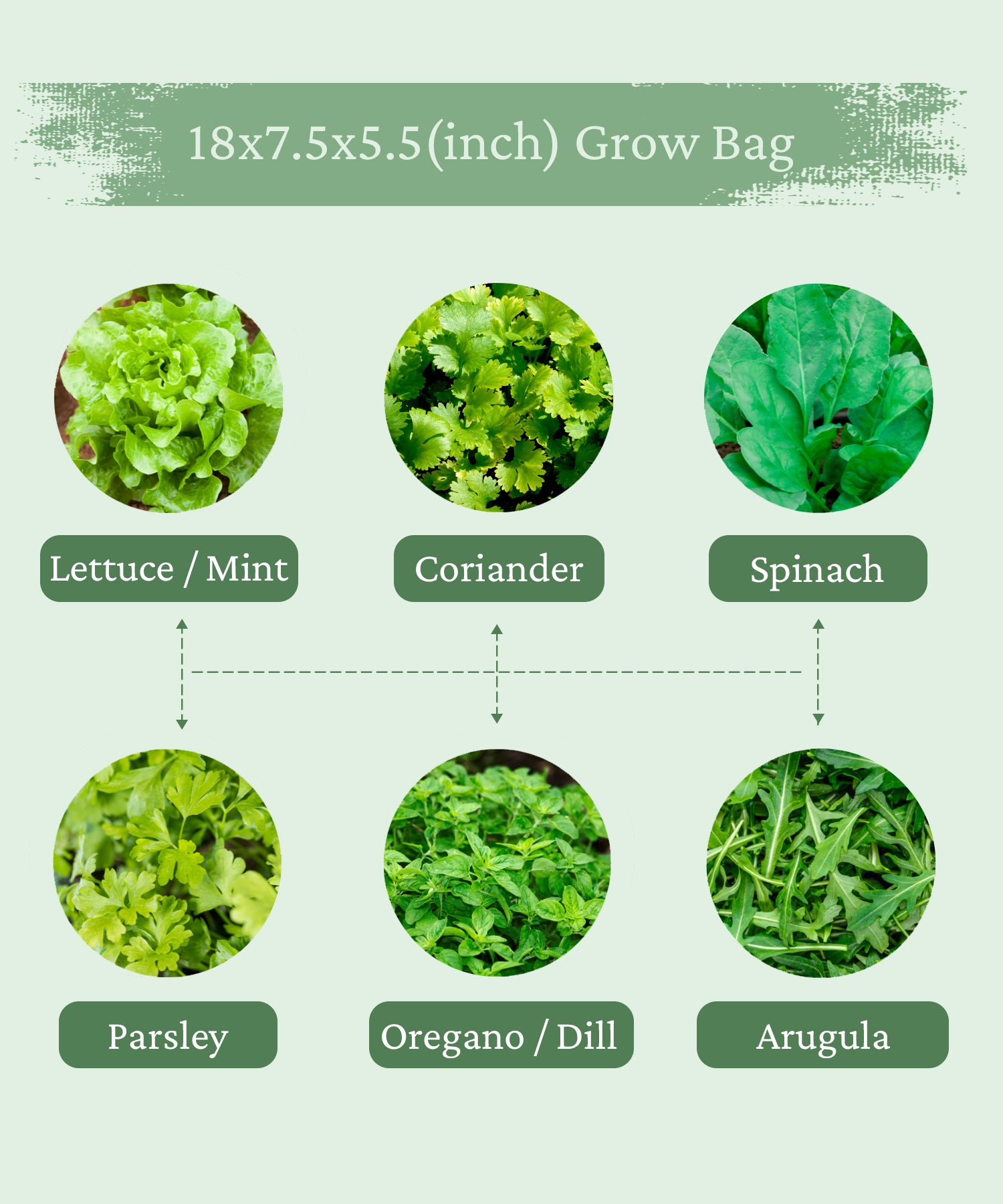 grow bags for terrace garden