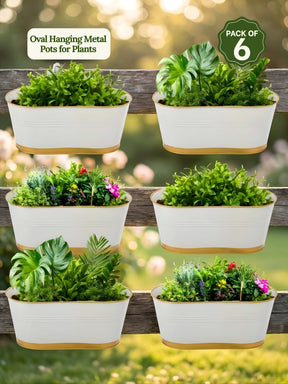 Oval Hanging Metal Pots for Plants (Set of 6) Railing Planters for Balcony