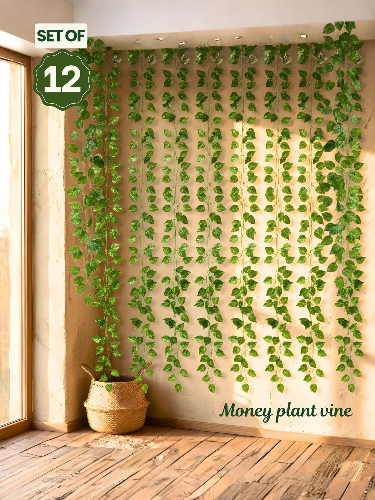 Artificial Money Plant Vines - 12 pieces