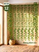 Artificial Money Plant Vines - 12 pieces
