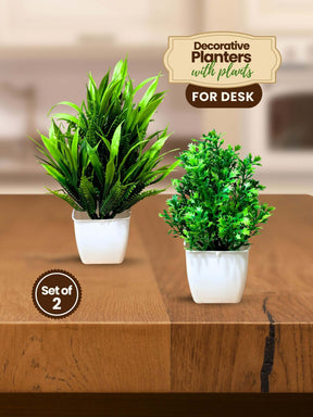 Artificial Plants for Desk (Set of 2)