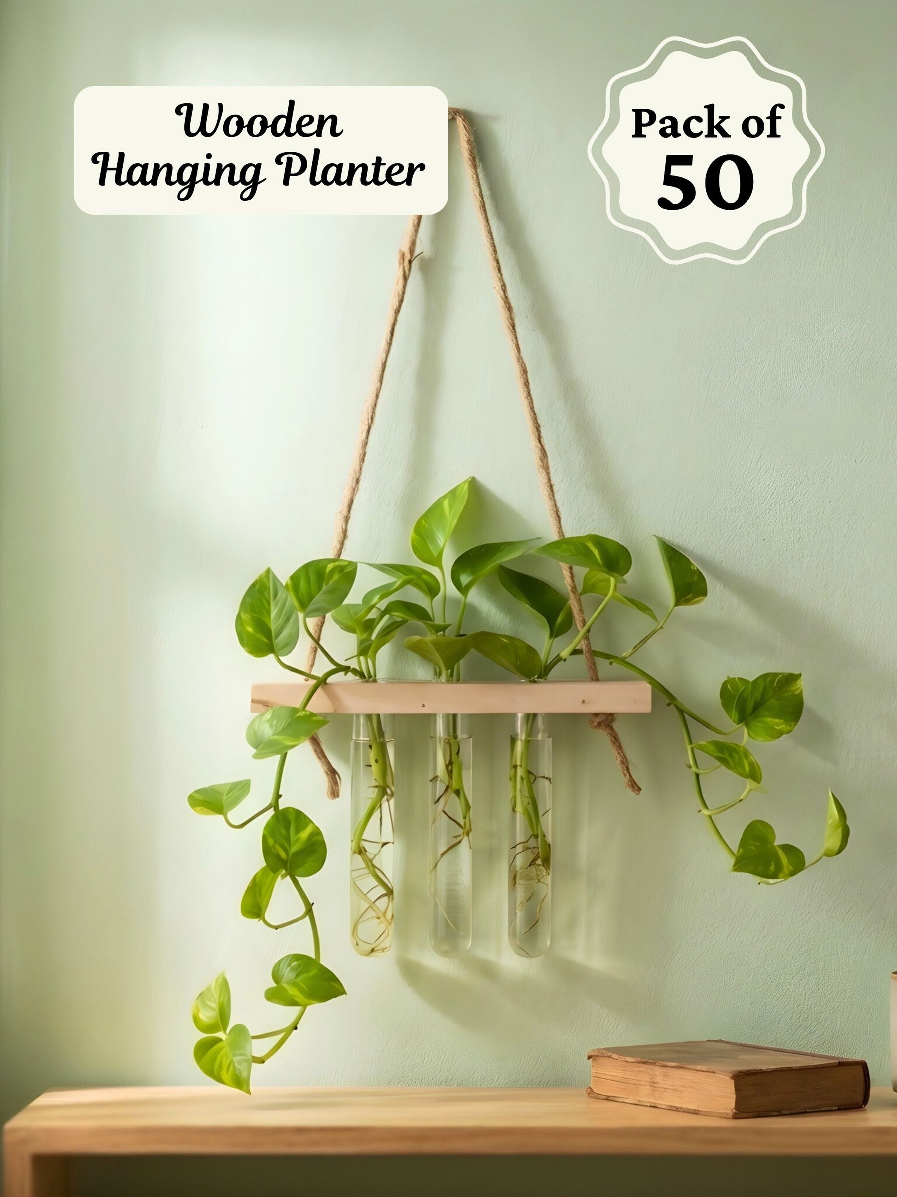 Wooden Hanging Planter for Home | Pack of 50