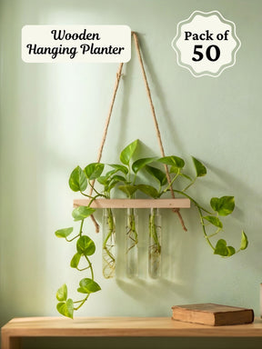Wooden Hanging Planter for Home | Pack of 50
