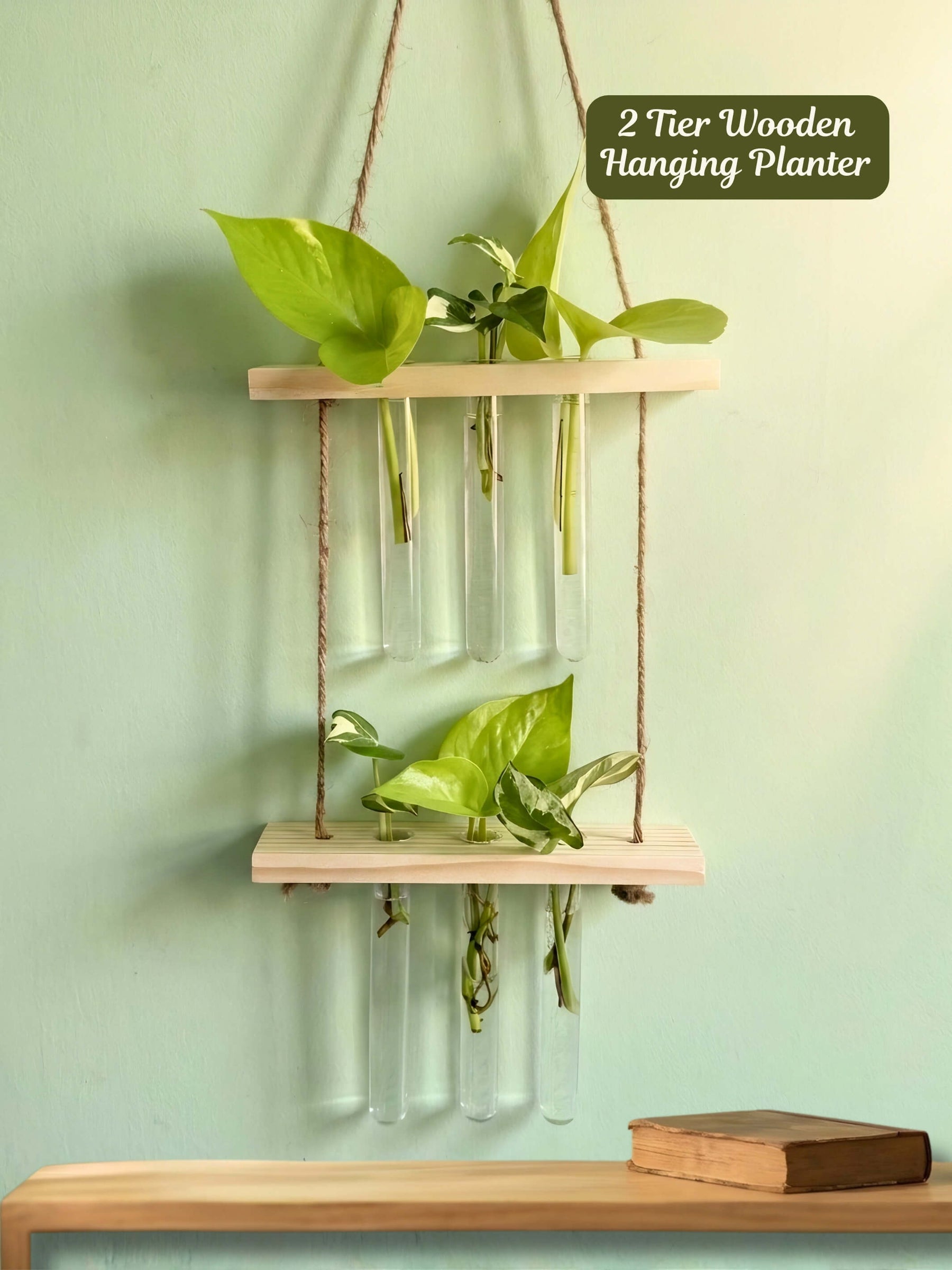 2 Tier Wooden Hanging Planters with Test Tubes