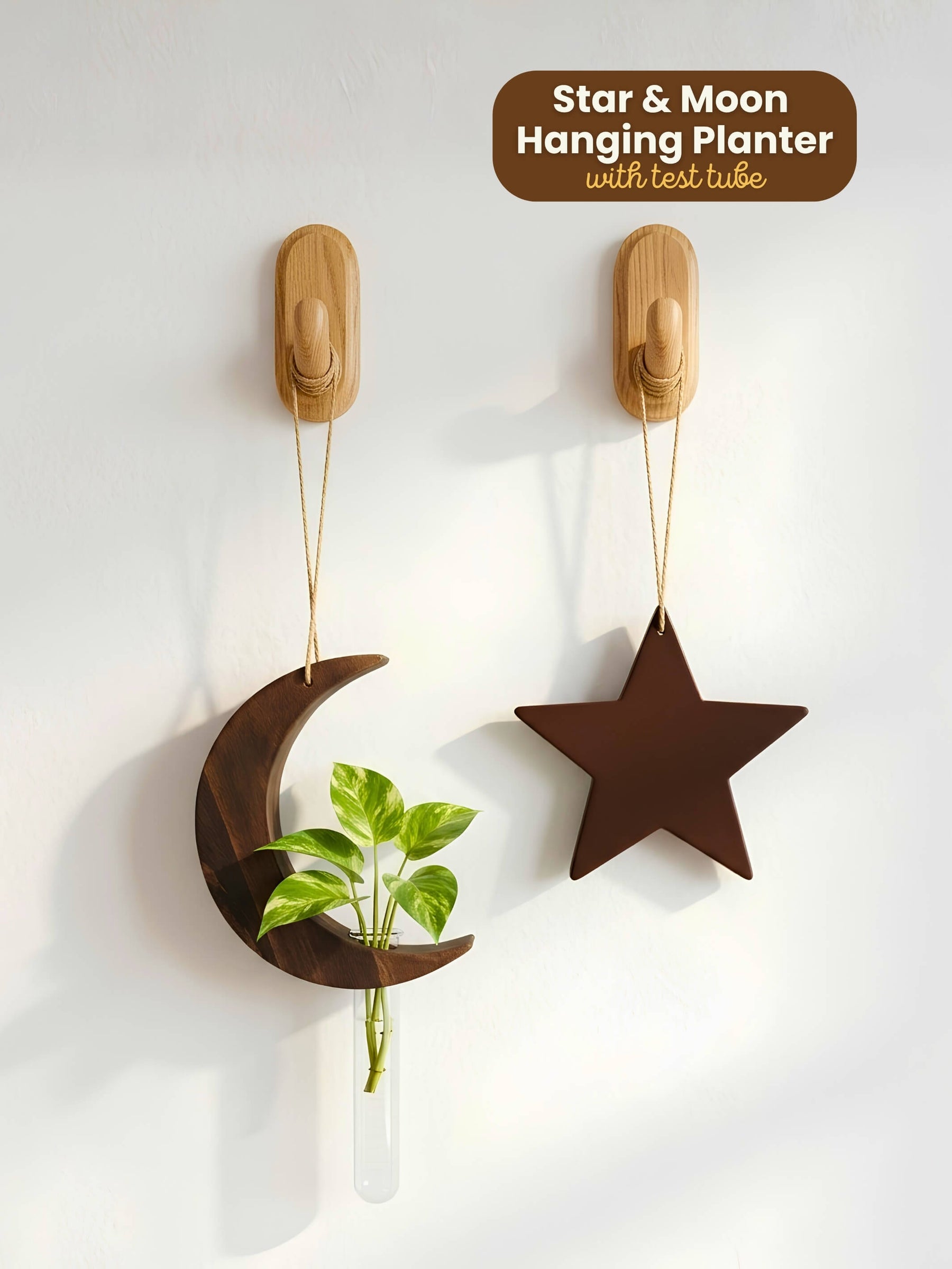 Star-Moon Wooden Test Tube Planter