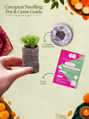 Eco-Friendly Decor Hamper