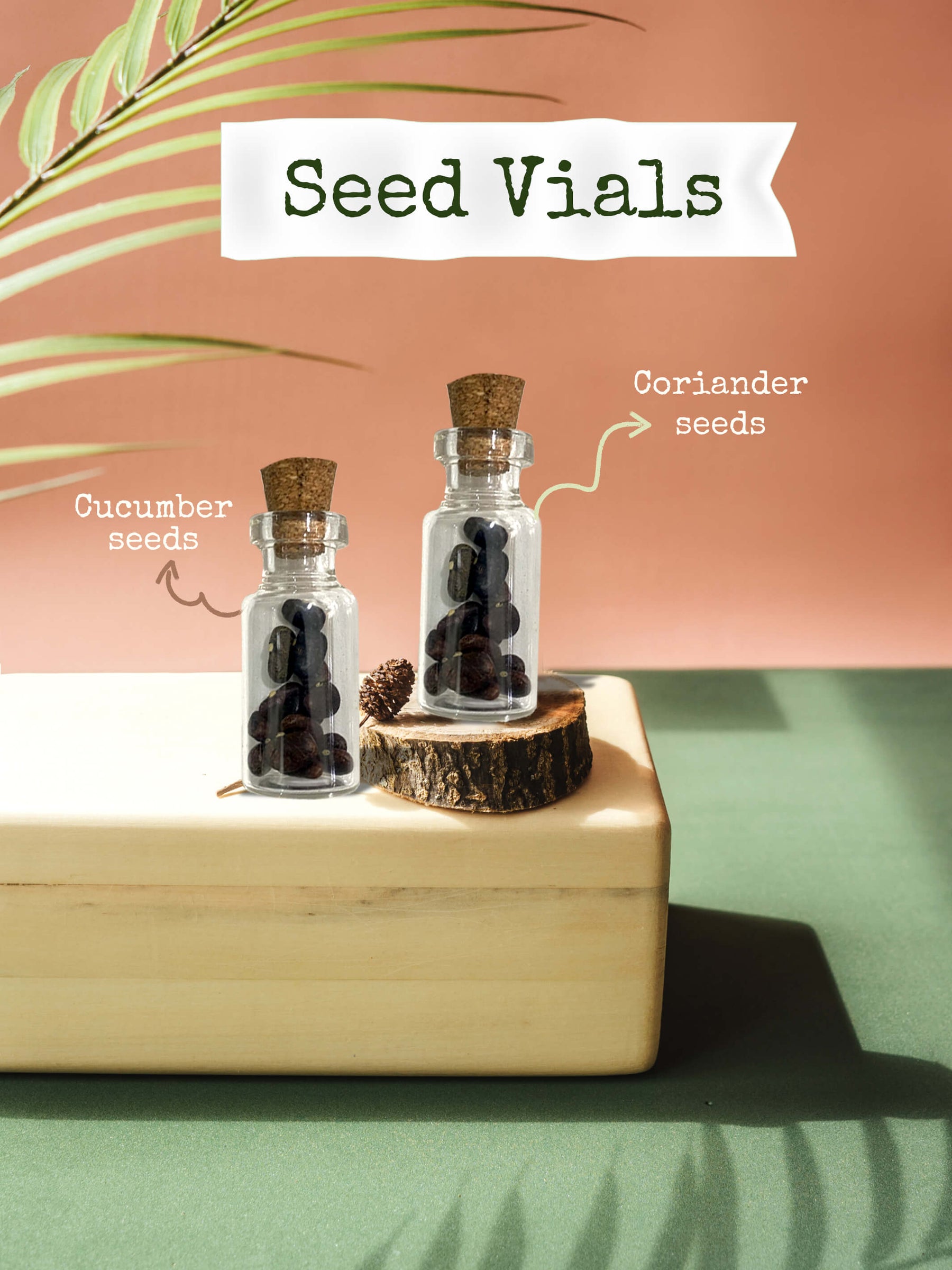 Gardening Gifts for Plant Parents - Seeds & Plant Tags