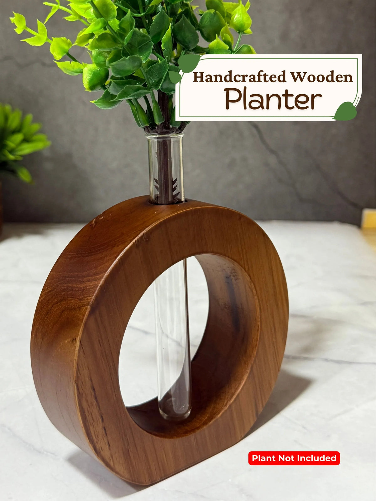 Cute Wooden Round Planter with Test Tube