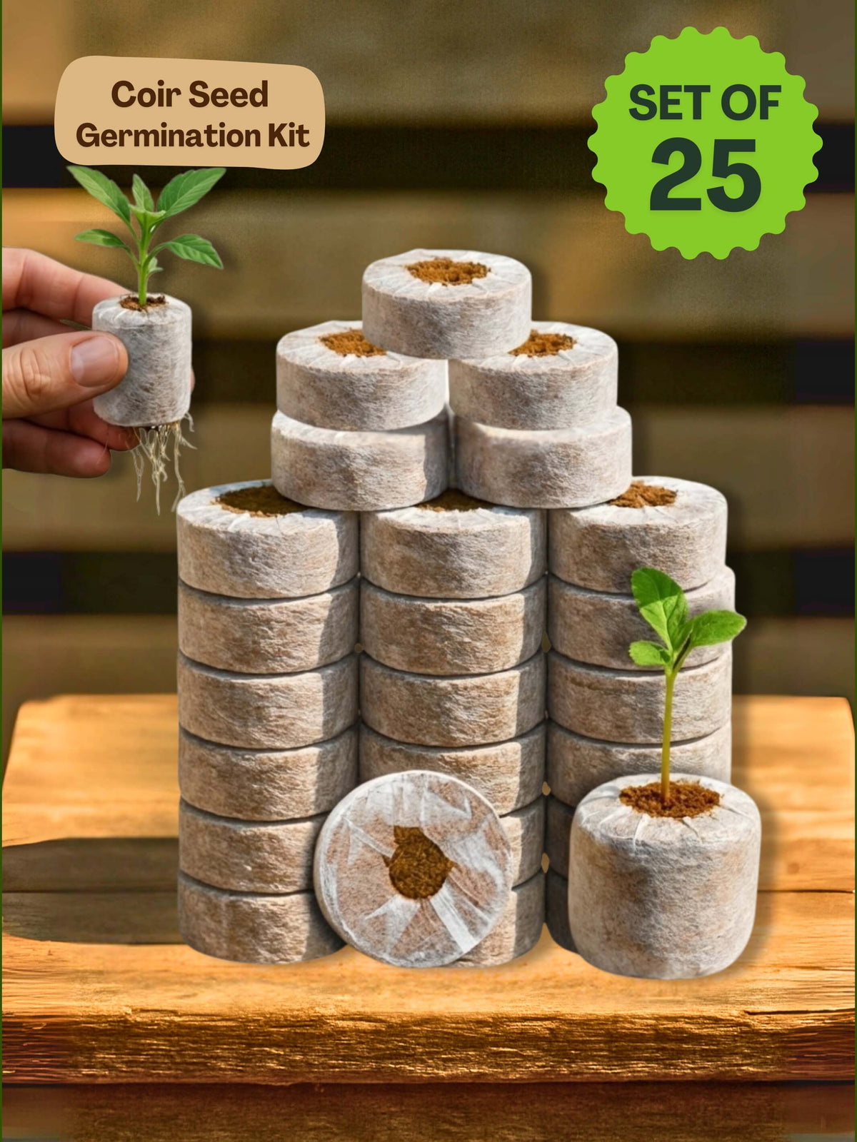 Organic Netted Cocopeat Coir Discs | Fast Seed Germination