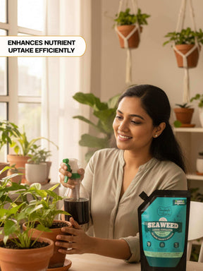 Organic Neem Oil + Liquid Seaweed Fertiliser Combo