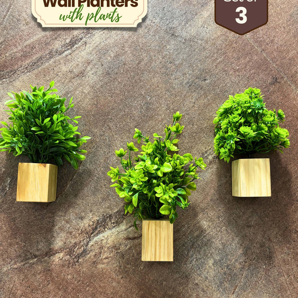 Supreme Mini Planters (Set of 3) 