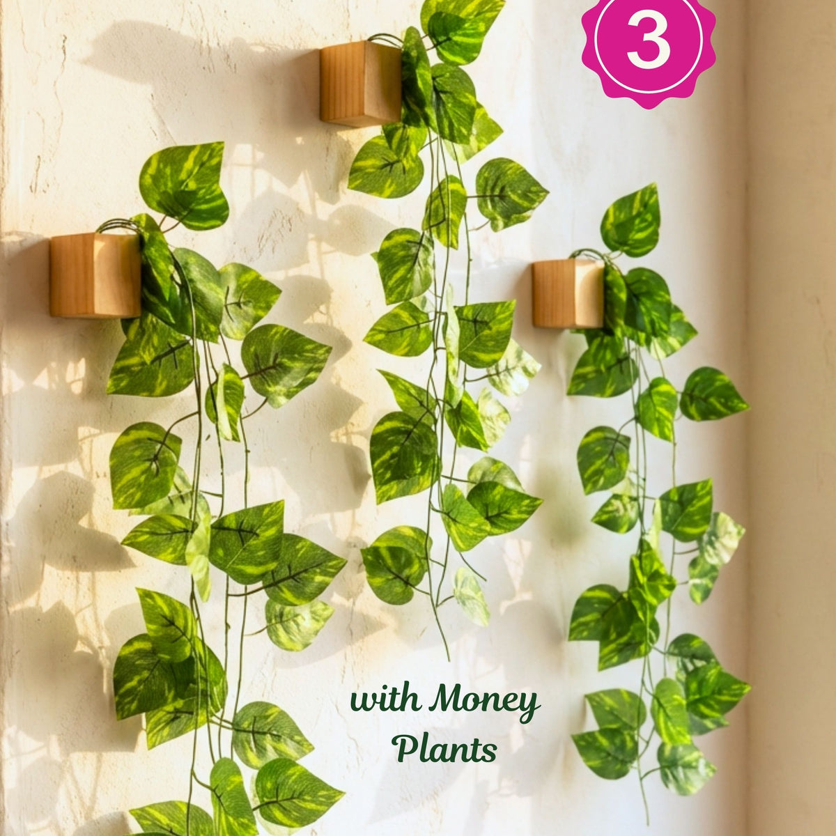 hanging money plant decoration ideas Buy Mini Square Wooden Plant Stand Set of 3 Online in India