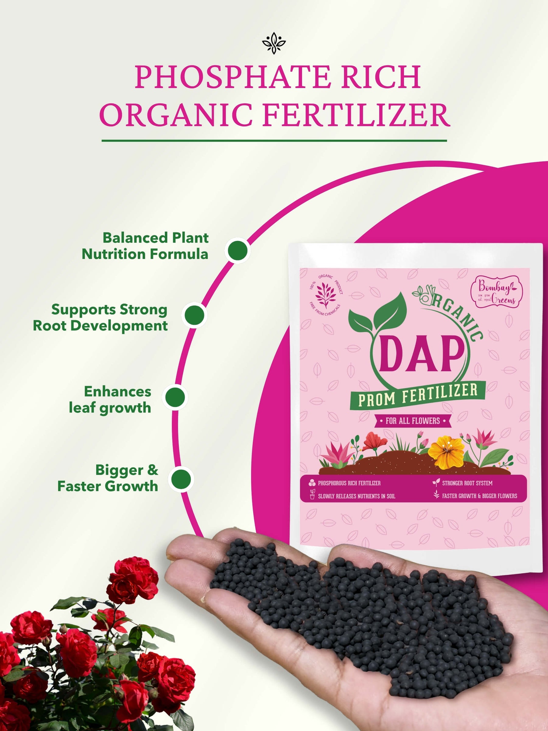 Organic DAP PROM Fertilizer for Roses & Flowers - 900 Grams