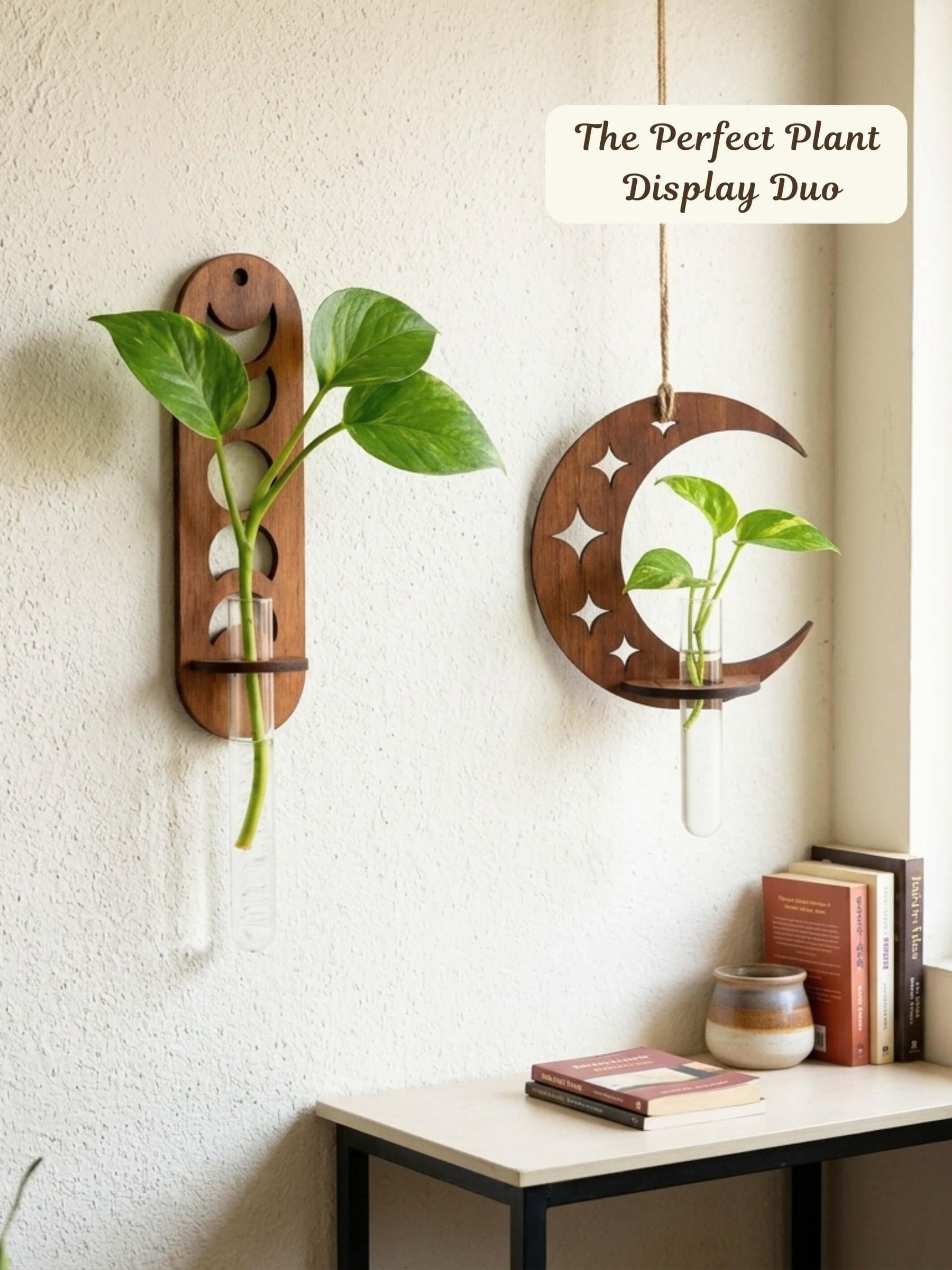 Celestial Moon Wooden Wall Planter - Combo