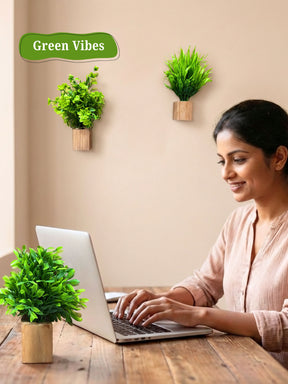 Mini Wall Wooden Planter with Plants - 3 pieces