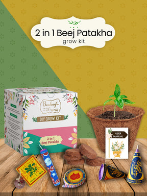 Plantable Beej Patakha Grow Kit