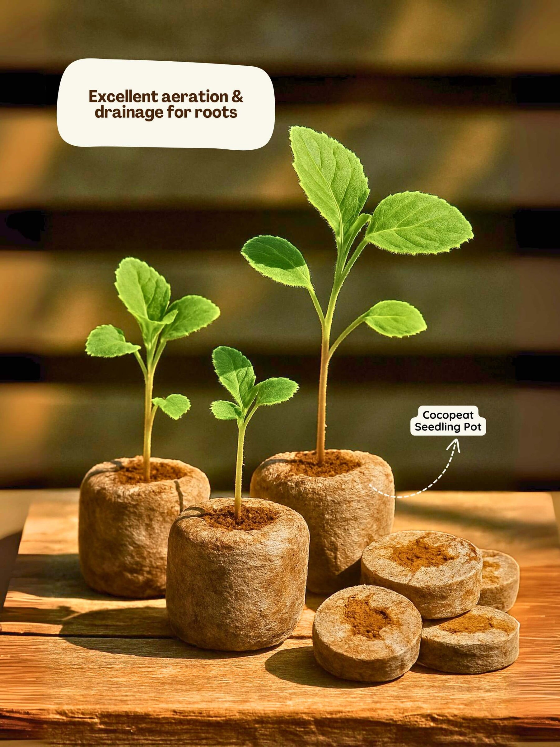 Organic Netted Cocopeat Coir Discs | Fast Seed Germination