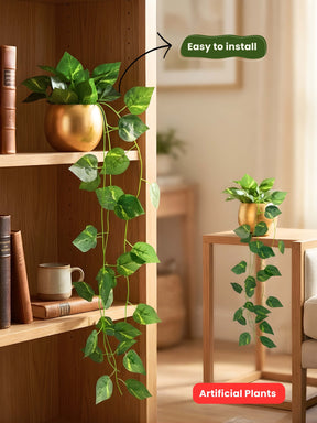 Gold Metal Pot with Hanging Plants – Set of 2