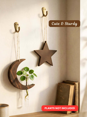Star-Moon Wooden Test Tube Planter