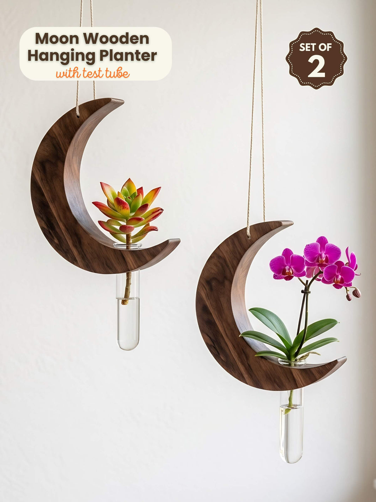 Moon-Shaped Wooden Test Tube Planter - Set of 2