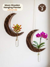 Moon-Shaped Wooden Test Tube Planter - Set of 2