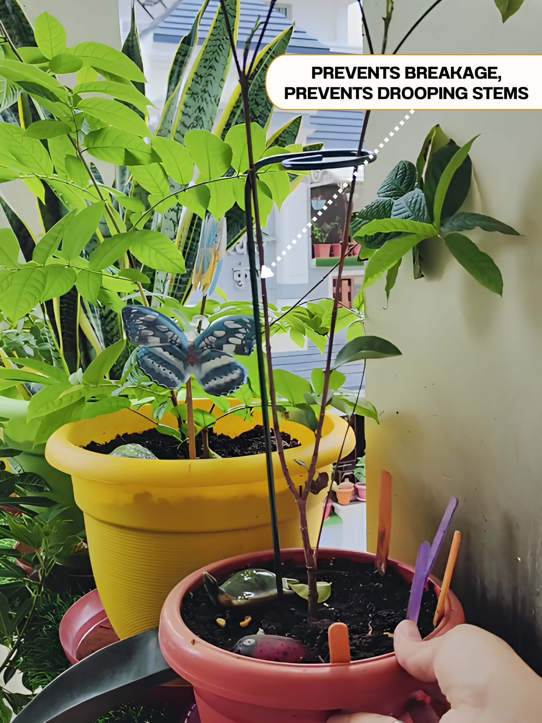 Metal Plant Stakes for Plant Support - 18 inches