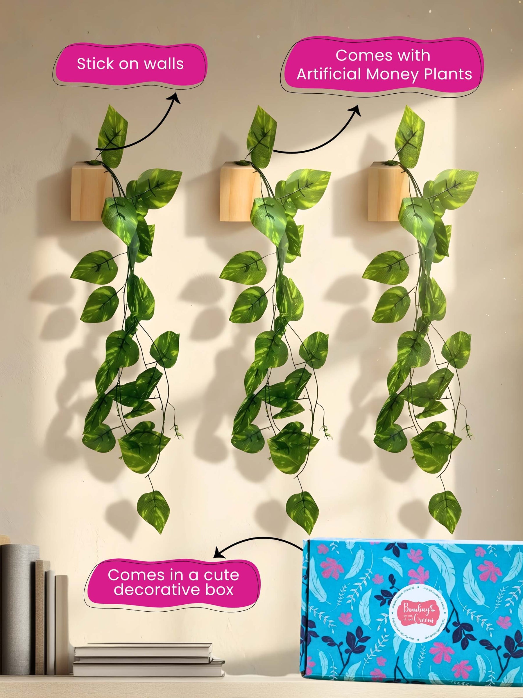 Mini Wall Wooden Planter with Money Plant - 3 pieces