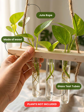 Wooden Hanging Planter for Home | Aesthetic Plant Décor