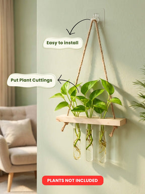 Wooden Hanging Planter for Home | Aesthetic Plant Décor