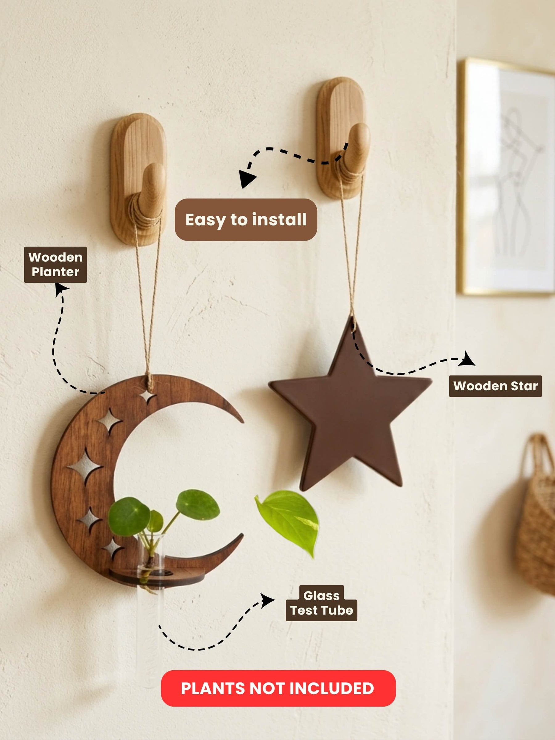 Star-Moon Wooden Test Tube Planter