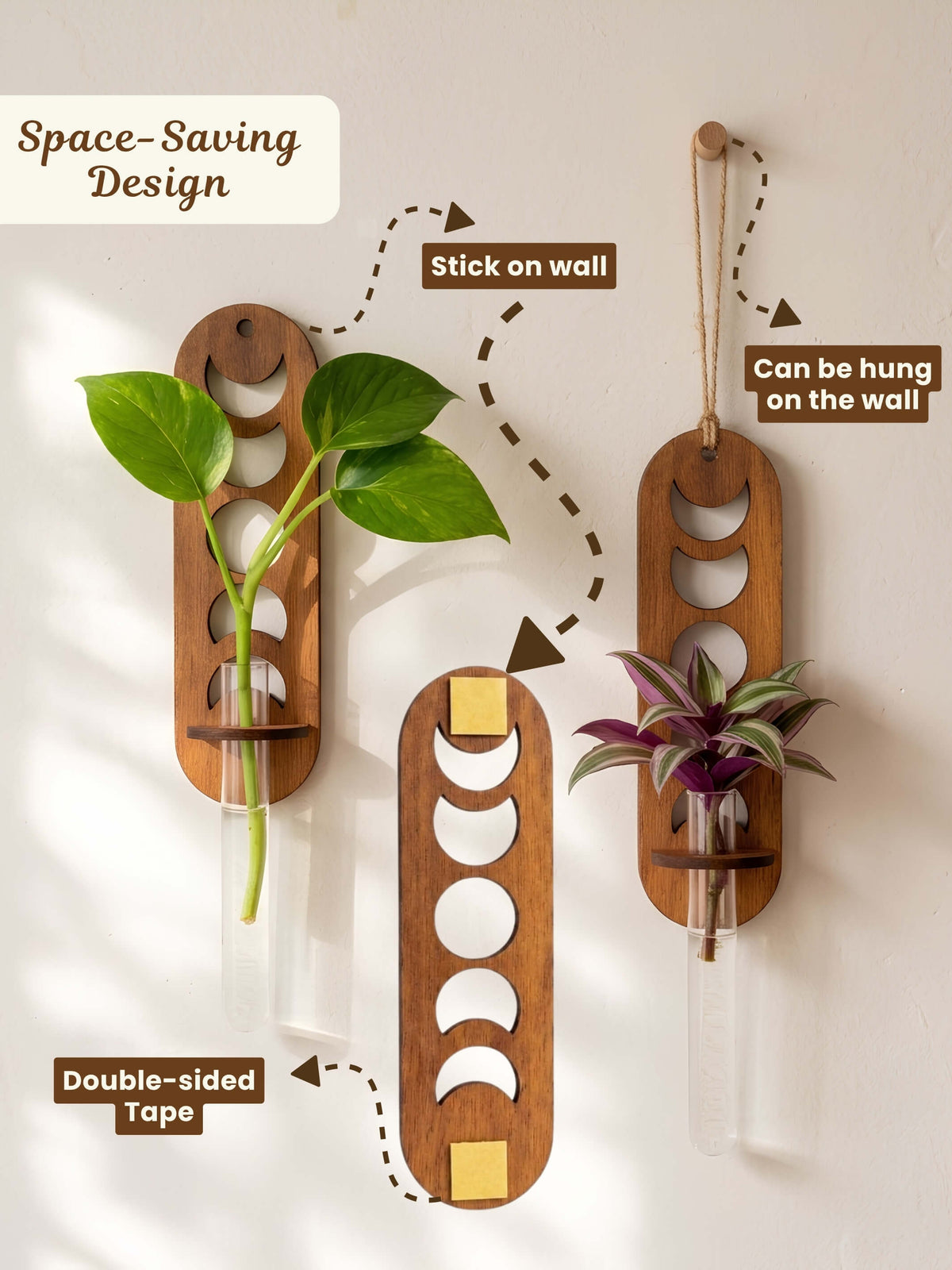 Celestial Moon Wooden Wall Planter - Combo