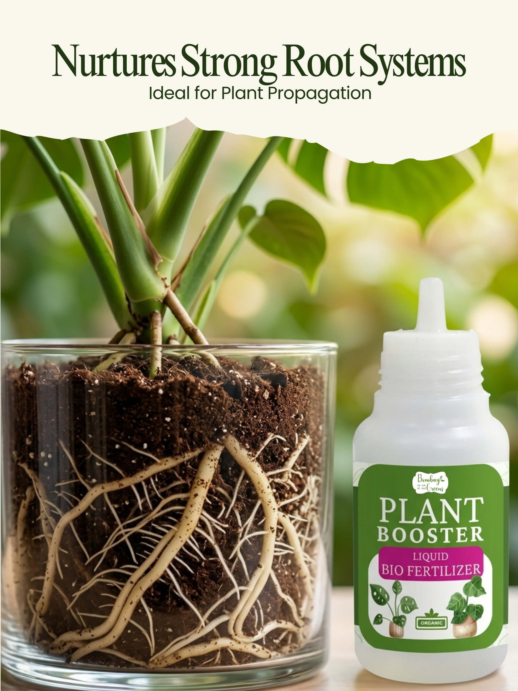 Organic Liquid Bio Fertilizer | Pack of 3