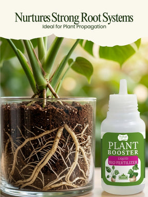 Organic Liquid Bio Fertilizer | Pack of 3
