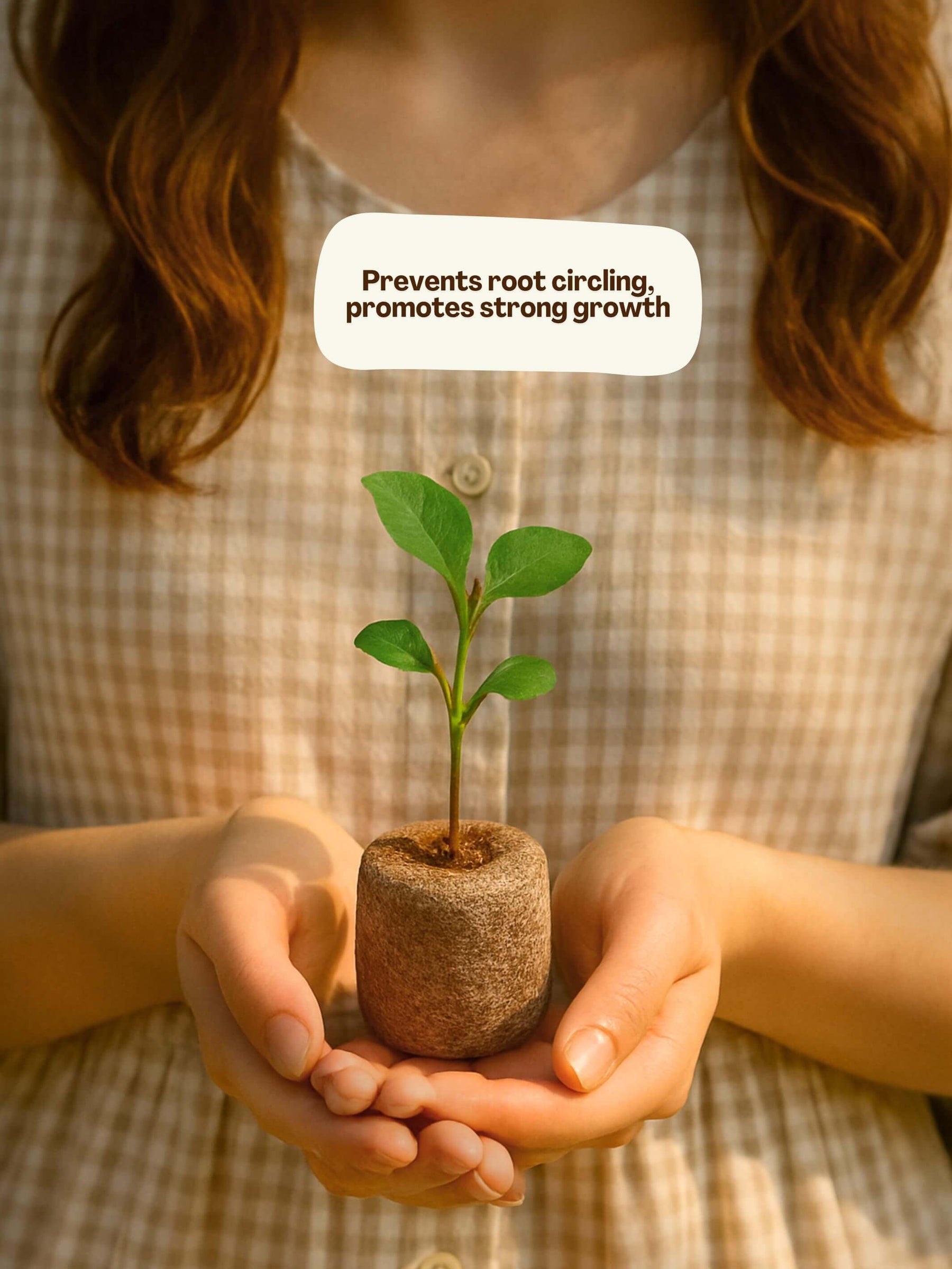 Organic Netted Cocopeat Coir Discs | Fast Seed Germination