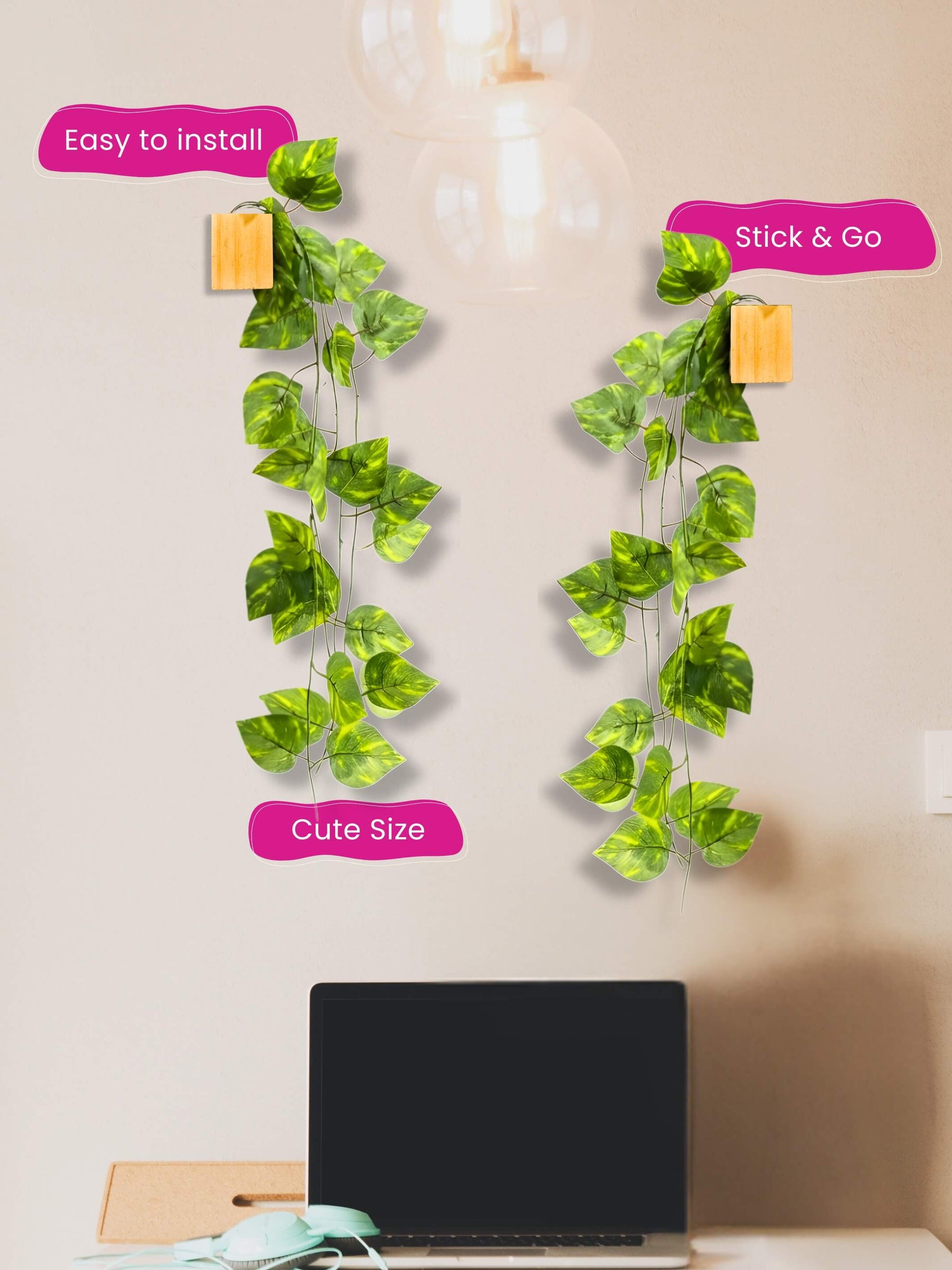 Mini Wall Wooden Planter with Money Plant - 3 pieces