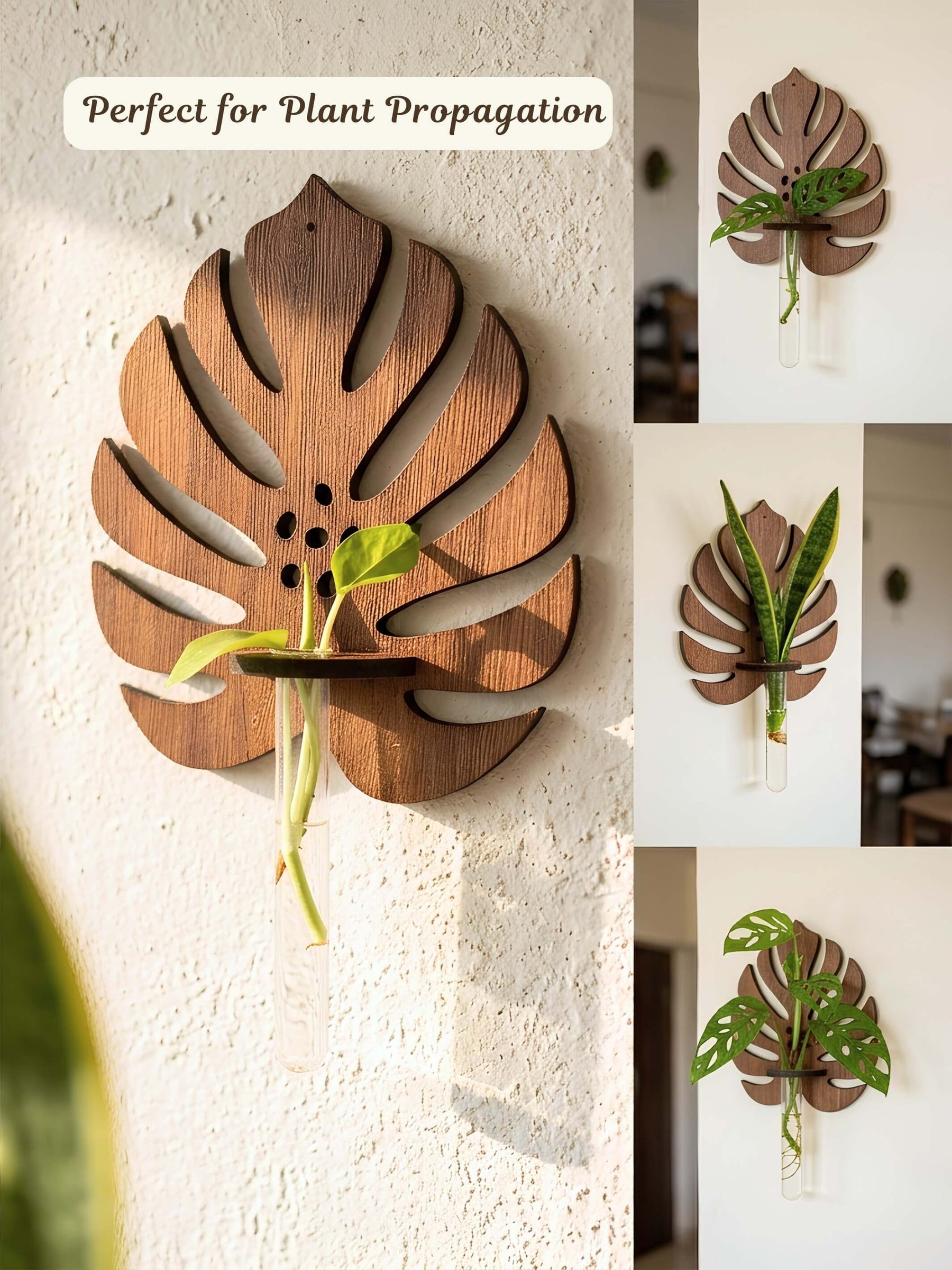 Wooden Monstera Wall Planter - 2 pcs