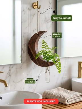 Moon-Shaped Wooden Test Tube Planter - Set of 2
