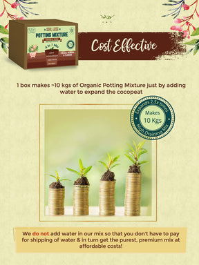 Potting Soil Online