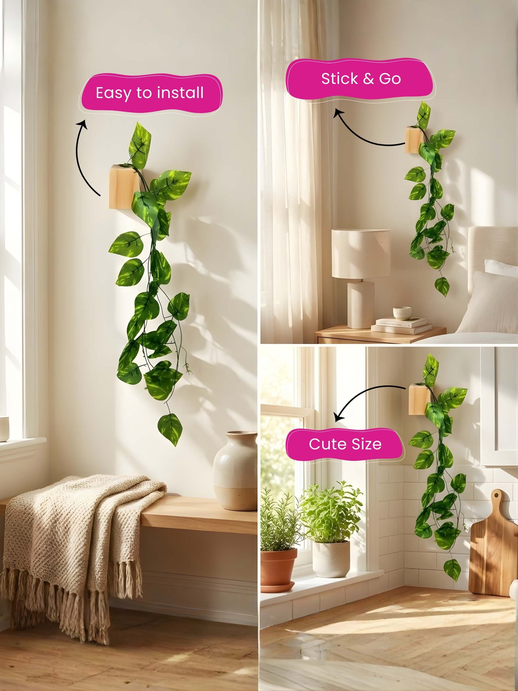 Mini Wall Wooden Planter with Money Plant - 3 pieces