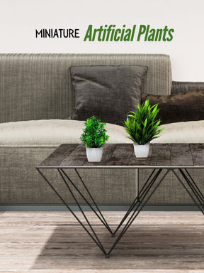 Artificial Plants for Desk (Set of 2)