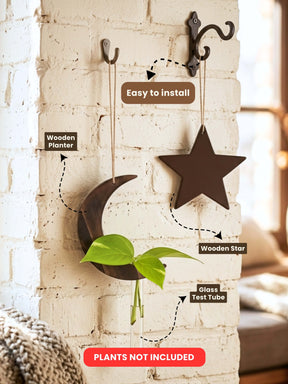 Star-Moon Wooden Test Tube Planter