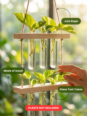 2 Tier Wooden Hanging Planters with Test Tubes