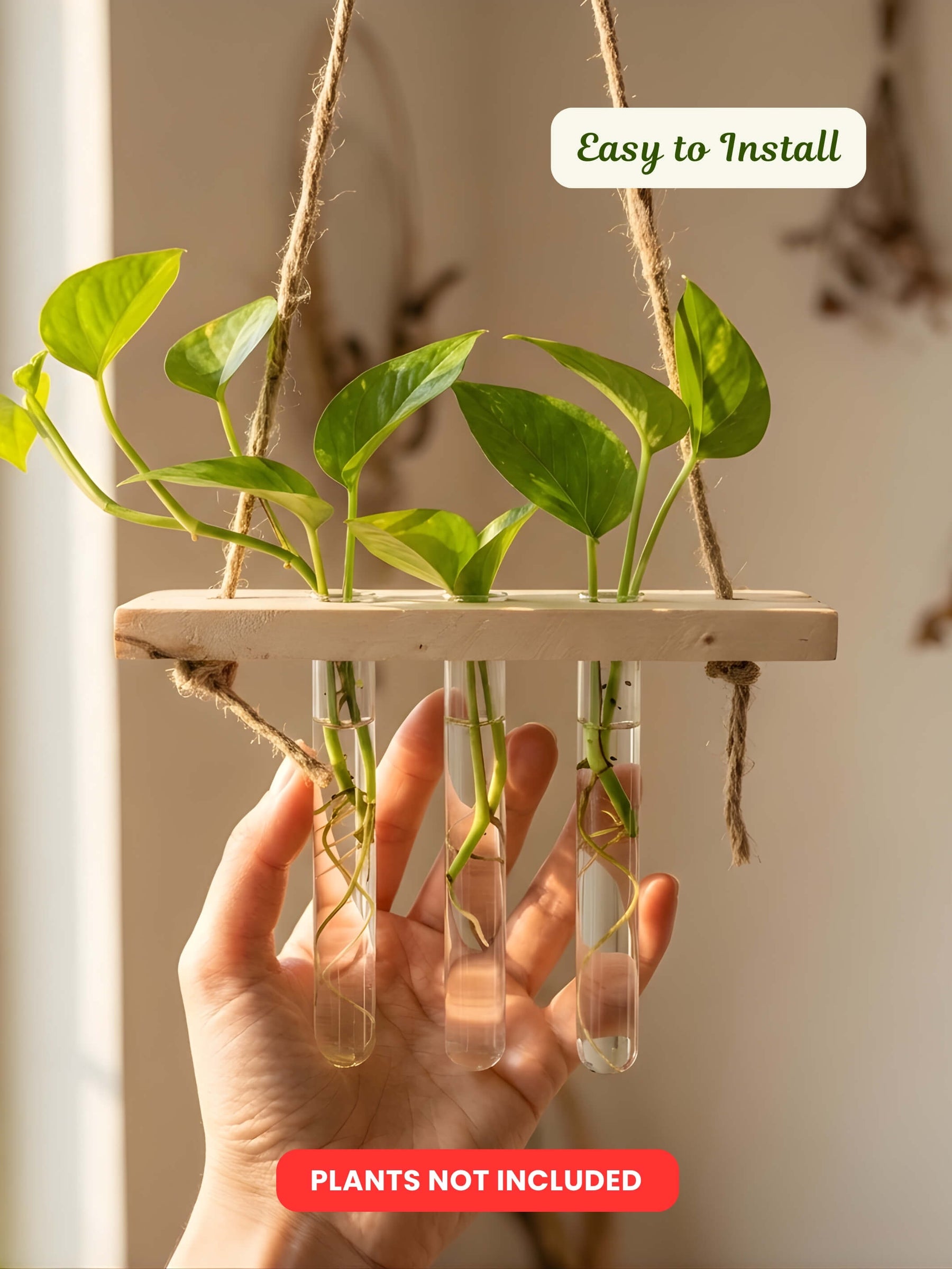 Wooden Hanging Planter for Home | Pack of 50