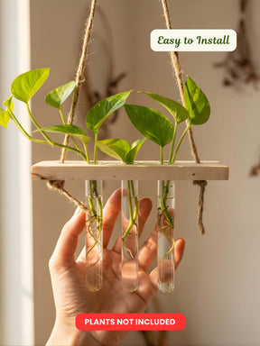 Wooden Hanging Planter for Home | Pack of 50