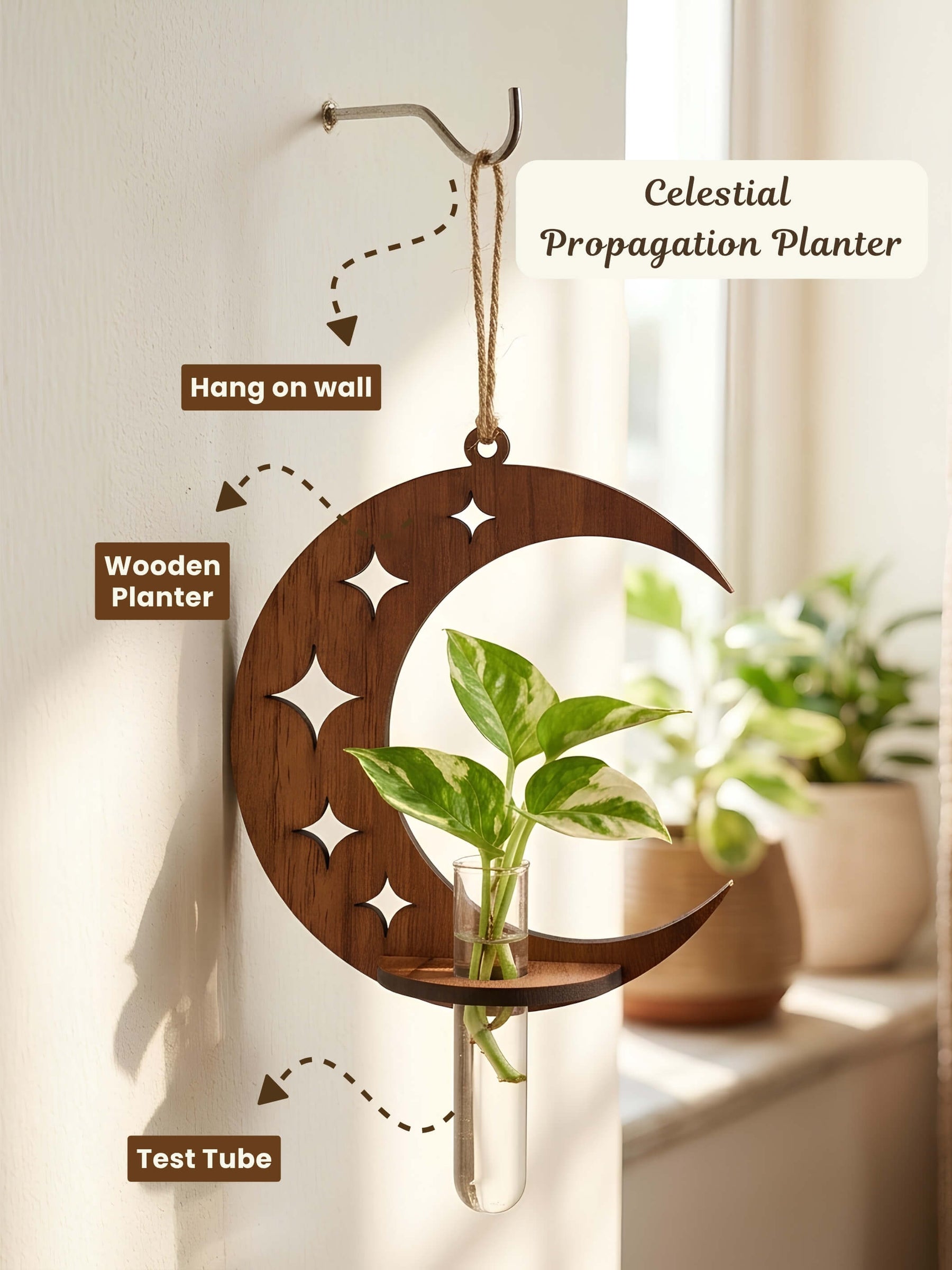 Lunar Wooden Test Tube Planter - 1 pc