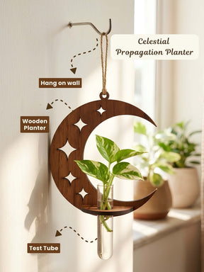 Lunar Wooden Test Tube Planter - 1 pc