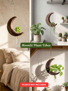 Moon-Shaped Wooden Test Tube Planter