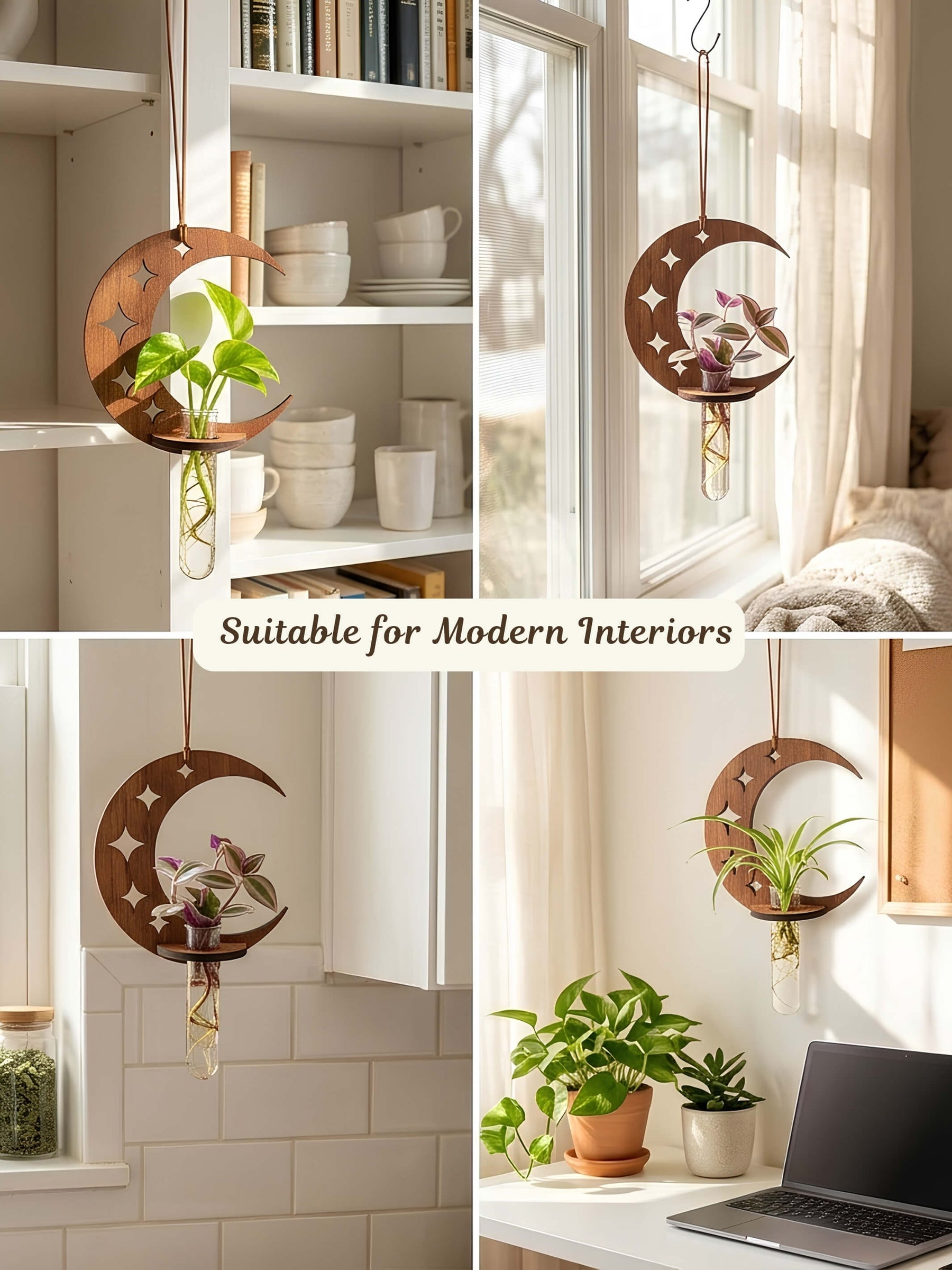 Lunar Wooden Test Tube Planter - 1 pc