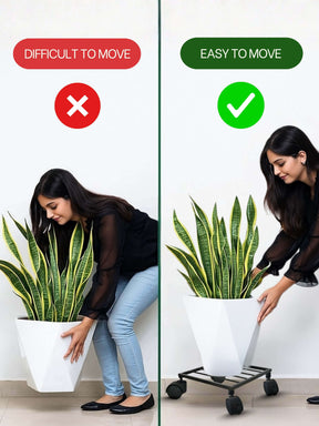 metal plant stand, metal planters