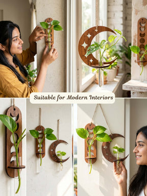 Celestial Moon Wooden Wall Planter - Combo